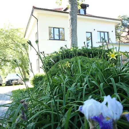 Vytauto * Паланга