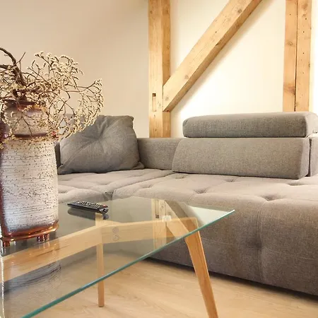 アパート Vytauto パランガ